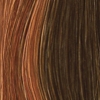 Ginger-H